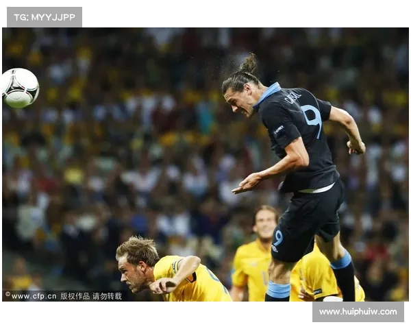 2012欧洲杯回顾 D组 瑞典2-3英格兰 2012欧洲杯回顾 D组 瑞典2-3英格兰